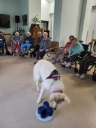 Seniorzy aktywni z Connerem i grupą <q>ENZO</q>, 09.10.2024 r.5