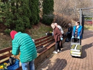 Zakwitły bratki na Polankach1