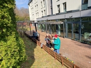 Zakwitły bratki na Polankach2