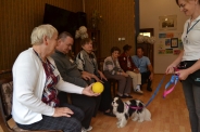 Dogoterapia, 08.07.2019 r.6