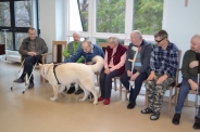 Dogoterapia z Enzo, 12.03.2024 r.2