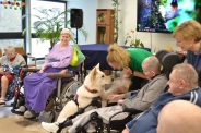Dogoterapia z Enzo, 12.03.2024 r.3