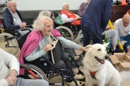 Dogoterapia z Enzo, 12.03.2024 r.11