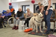Dogoterapia z grupą Enzo, 23.01.2020 r.7