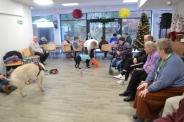Dogoterapia z grupą Enzo, 23.01.2020 r.8