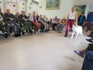 Dogoterapia z <q>ENZO</q> w kolorach jesieni, 24.10.2025&nbsp;r.2