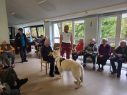 Dogoterapia z <q>ENZO</q> w kolorach jesieni, 24.10.2025&nbsp;r.8