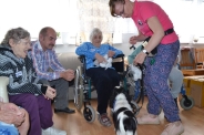 Dogoterapia na Polankach, 09.07.2018 r.10