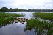 XVI Jarmark Folklorystyczny, Przegld Dorobku Kulturalnego DS, Sobtki - Chmielno, 23.06.20157