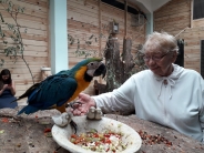 Papugarnia, 04.07.2019 r.5