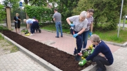 Sadzenie bratkw, 09.06.2022 r.1