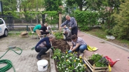 Sadzenie bratkw, 09.06.2022 r.5