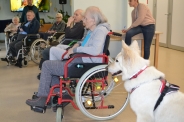 Spotkanie z przyjaciółmi domu oraz psem Conner, 16.04.2024 r.3