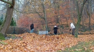 Wolontariat z X Liceum, 12.11.2024 r.1