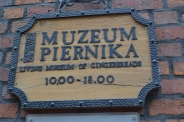 Wycieczka do Torunia, 13.06.2019 r.9
