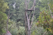 Wycieczka do ZOO, 11.07.2017 r.3