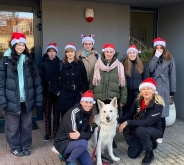 Zdobienie pierników w naszym domu, 13.12.2024 r.5