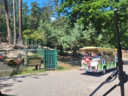Rekreacja i edukacja w oliwskim ZOO, 27.06.2024 r.4