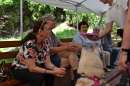 Zajęcia terapeutyczne z udziałem psa, 29.07.2016 r.4