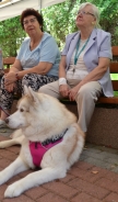 Zajęcia terapeutyczne z udziałem psa, 29.07.2016 r.8