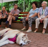 Zajęcia terapeutyczne z udziałem psa, 29.07.2016 r.13