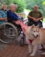 Zajęcia terapeutyczne z udziałem psa, 29.07.2016 r.15
