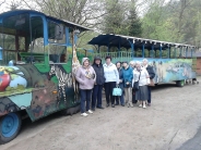 Światowy Dzień Pingwina w Oliwskim ZOO, 25.04.2018 r.2