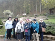 Światowy Dzień Pingwina w Oliwskim ZOO, 25.04.2018 r.3