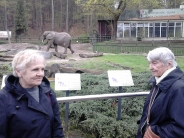 Światowy Dzień Pingwina w Oliwskim ZOO, 25.04.2018 r.4
