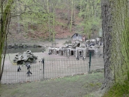 Światowy Dzień Pingwina w Oliwskim ZOO, 25.04.2018 r.7