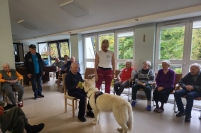 Dogoterapia z <q>ENZO</q> w kolorach jesieni, 24.10.2025 r.