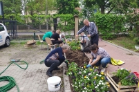 Sadzenie bratków, 09.06.2022 r.