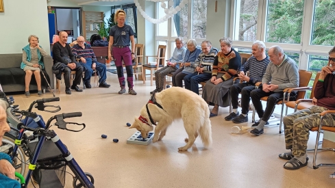 Dogoterapia z Grupš Enzo